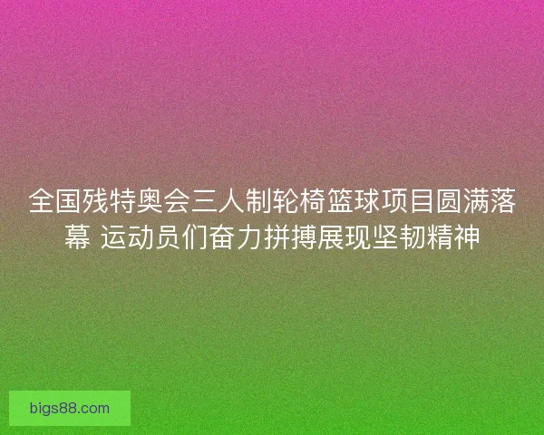 全国残特奥会三人制轮椅篮球项目圆满落幕 运动员们奋力拼搏展现坚韧精神